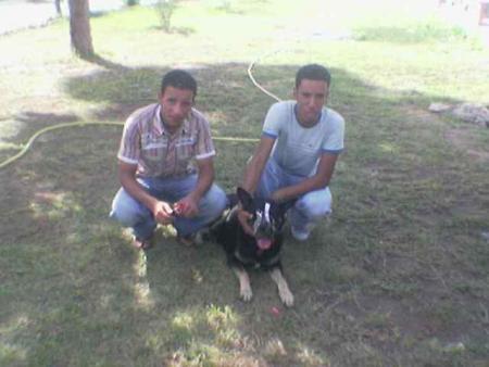moi et roki et halom